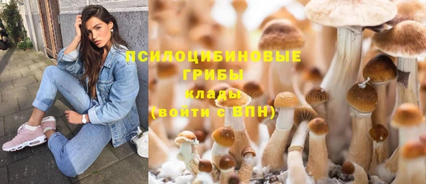 прущая мука Зерноград