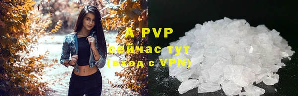 тгк Зеленокумск