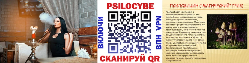 Купить  Черняховск  Галлюциногенные грибы Psilocybe 