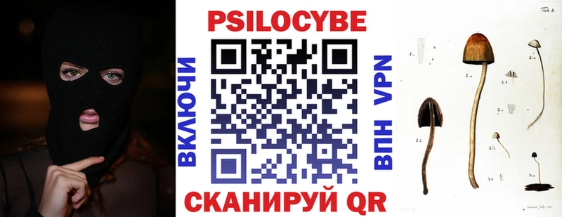 Псилоцибиновые грибы мицелий Черняховск